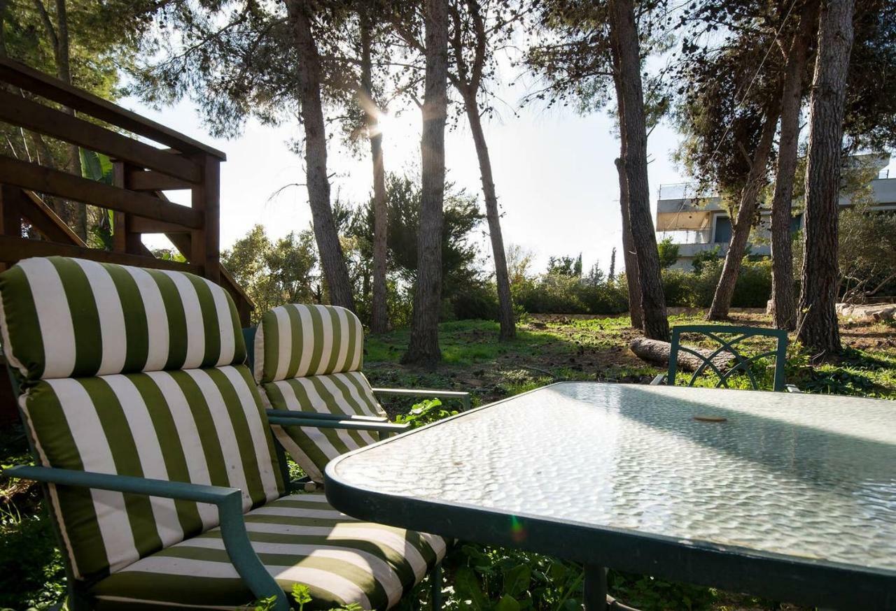 Lili'S Galilee House! Nature Views Terrace Kefar Weradim Exteriör bild